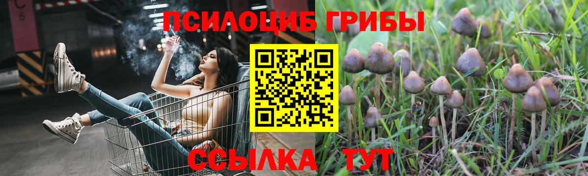 Анжеро-Судженск  Галлюциногенные грибы мицелий  Вход с VPN 